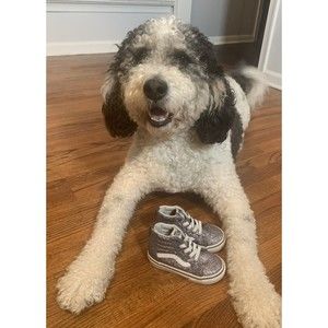 VANS hi top purple sparkle Glitter classic Toddler Size 6 Girls Zipper Back